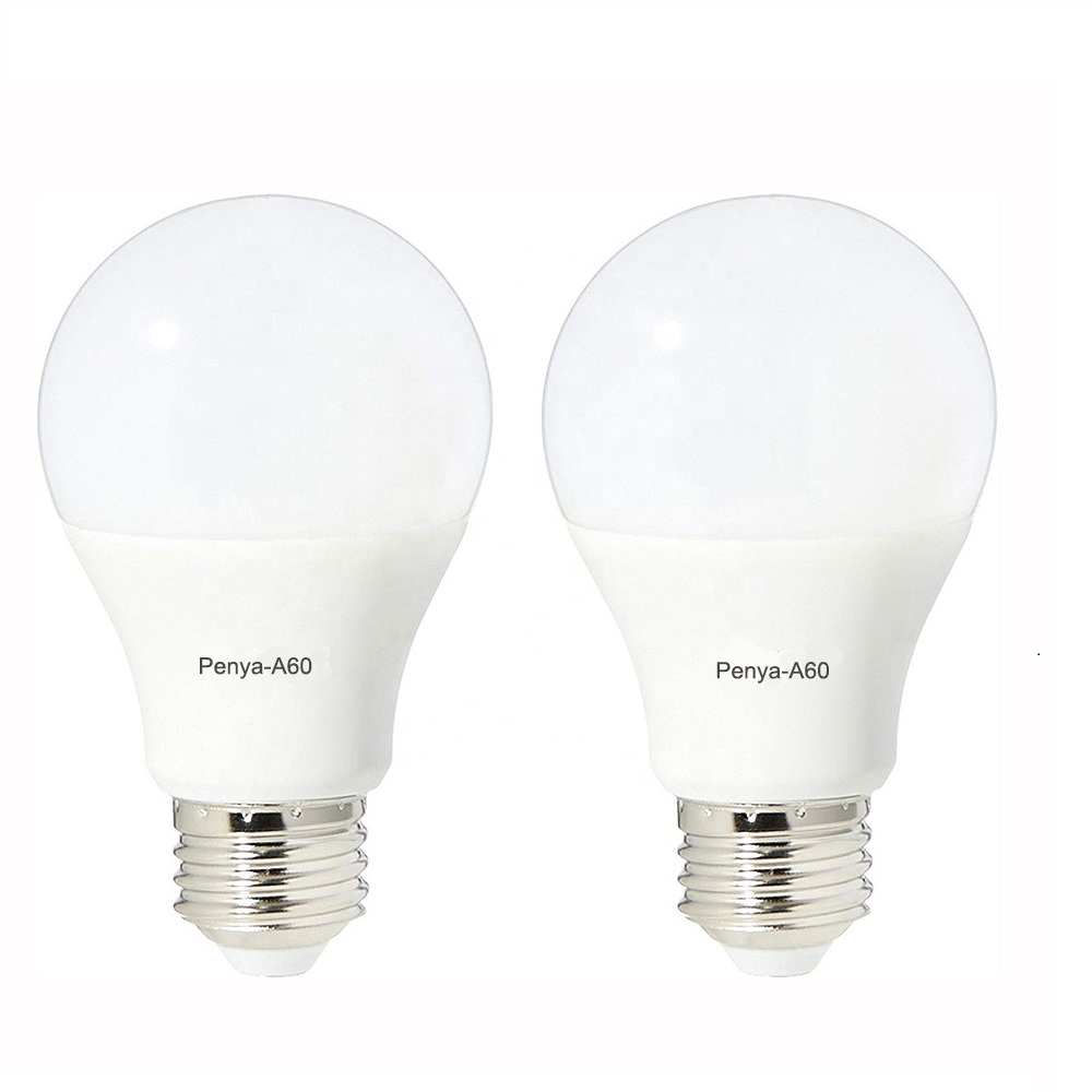 9 W LED bulb